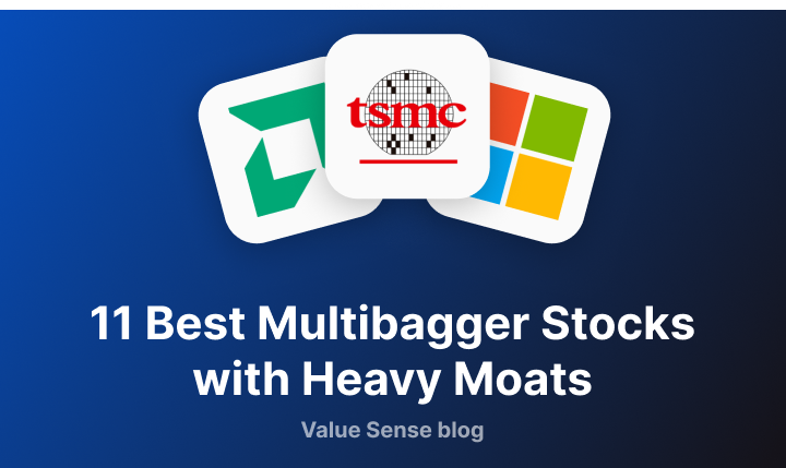 11 Best Multibagger Stocks with Heavy Moats - valuesense.io